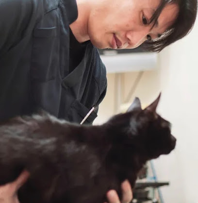 おおした動物病院, 神戸