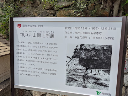 丸山衝上断層, 神戸