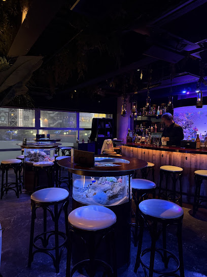 bar shark, 神戸