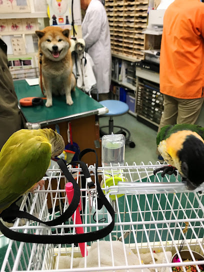 水島動物病院, 神戸