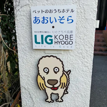 特定非営利活動法人 りぐこうべ兵庫, 神戸