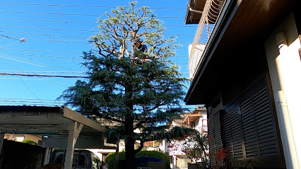 お庭のキハラ, 神戸