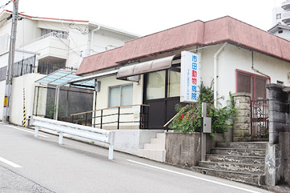 市田動物病院, 神戸